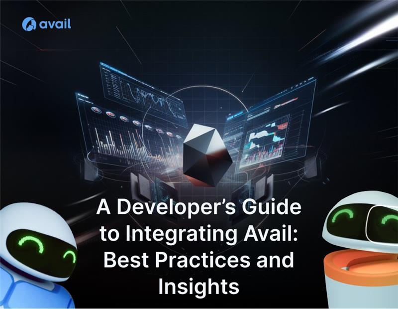 A Developer’s Guide to Integrating Avail: Best Practices and Insights